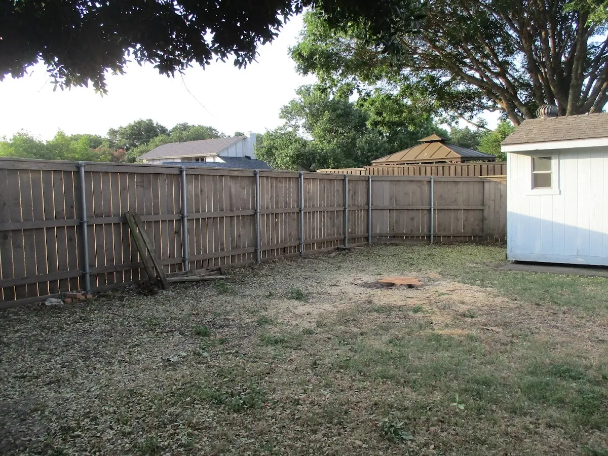 Cleared yard after professional tree removal in Woodland